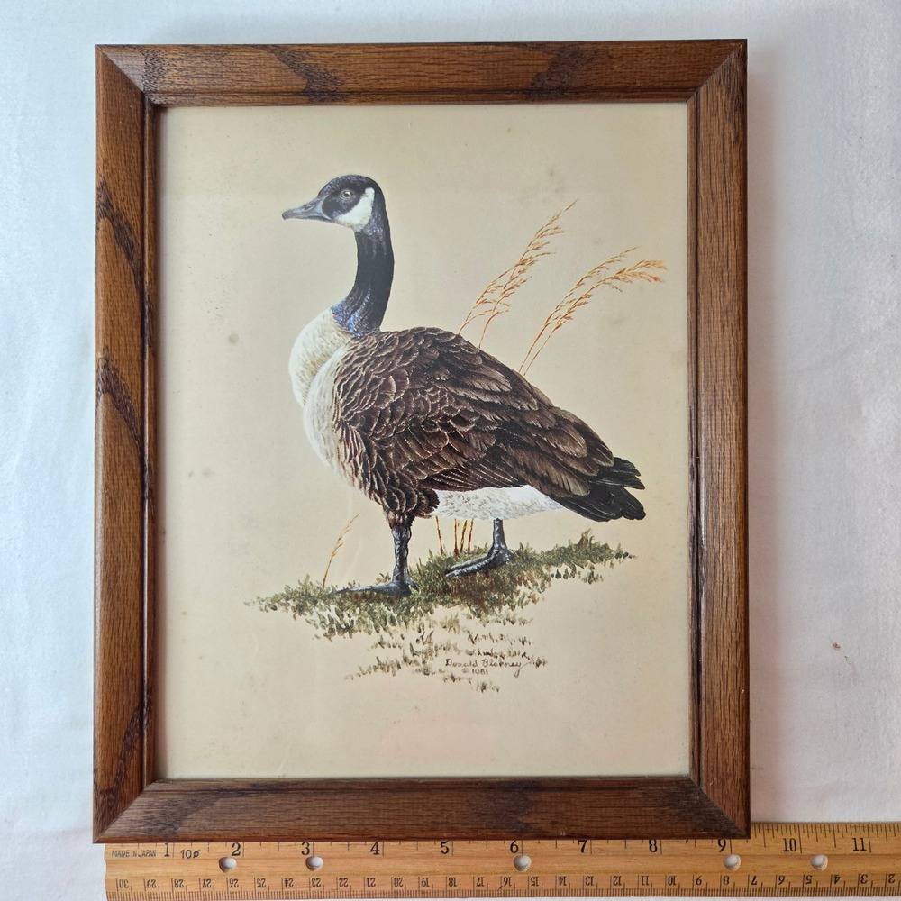 Vtg Donald Blakney #1081 Canada Goose Framed Wildlife Art Print 9.5x12 READ